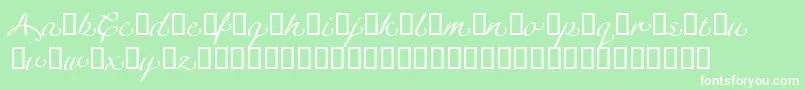 LinotypeagogoSwashthree Font – White Fonts on Green Background