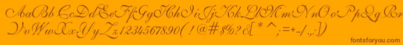 IlsScript Font – Brown Fonts on Orange Background