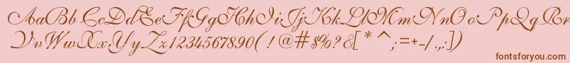 IlsScript Font – Brown Fonts on Pink Background