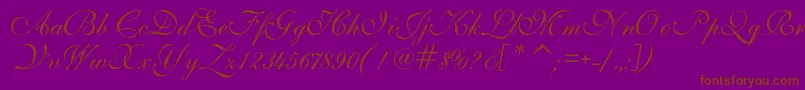 フォントIlsScript – 紫色の背景に茶色のフォント