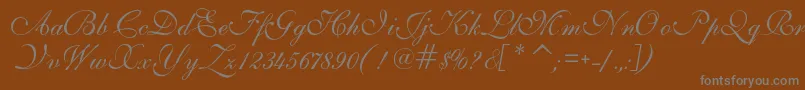 Шрифт IlsScript – серые шрифты на коричневом фоне