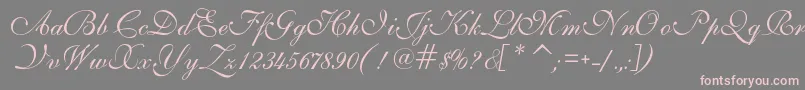 IlsScript Font – Pink Fonts on Gray Background