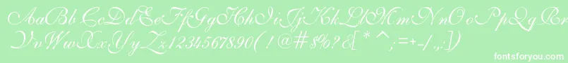 IlsScript Font – White Fonts on Green Background