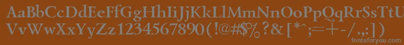 Czcionka UkrainiangoudyoldBold – szare czcionki na brązowym tle