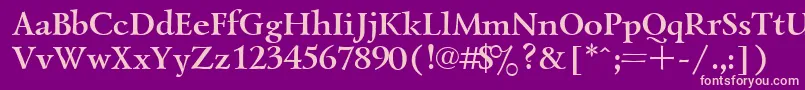 UkrainiangoudyoldBold Font – Pink Fonts on Purple Background