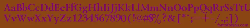 UkrainiangoudyoldBold Font – Purple Fonts on Brown Background