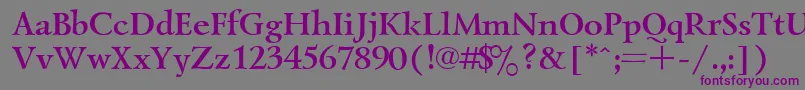 UkrainiangoudyoldBold Font – Purple Fonts on Gray Background
