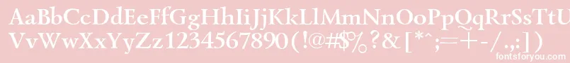 UkrainiangoudyoldBold Font – White Fonts on Pink Background