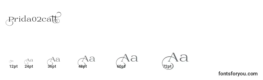 Prida02calt Font Sizes