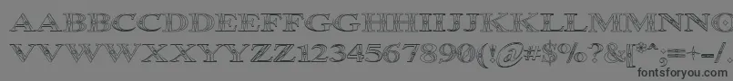 OccoluchiOutline-Schriftart – Schwarze Schriften auf grauem Hintergrund