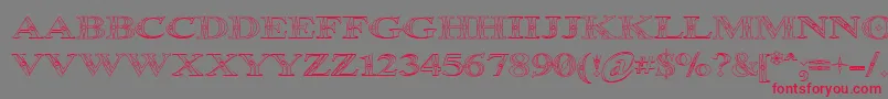 OccoluchiOutline Font – Red Fonts on Gray Background
