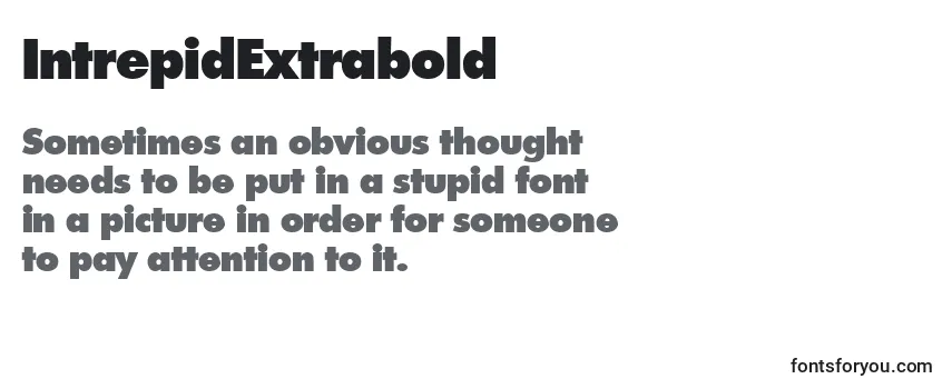 intrepidextrabold, intrepidextrabold font, download the intrepidextrabold font, download the intrepidextrabold font for free