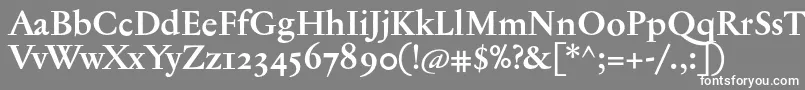 JannontextmedosfBold-Schriftart – Weiße Schriften auf grauem Hintergrund
