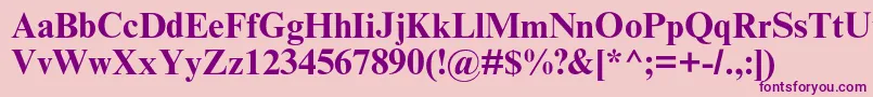 TimesnewromanmtstdBold Font – Purple Fonts on Pink Background