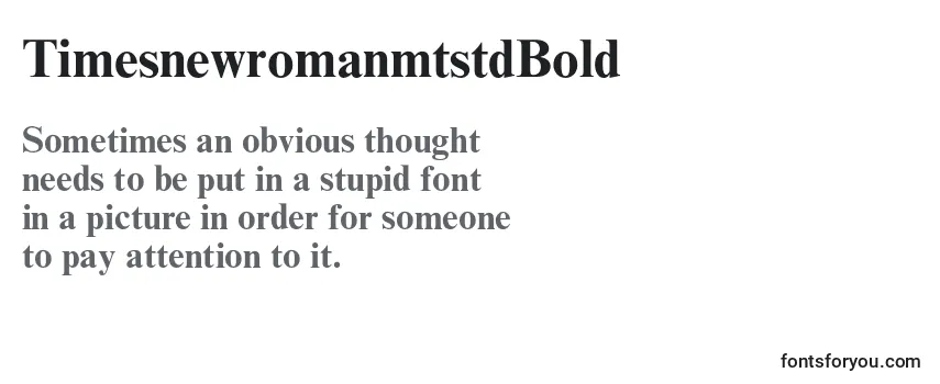 Review of the TimesnewromanmtstdBold Font