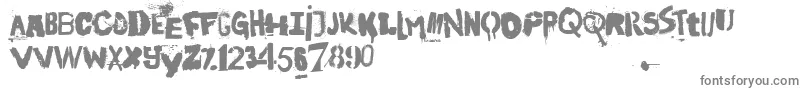 InTheStreetsOfEurope-Schriftart – Graue Schriften auf weißem Hintergrund