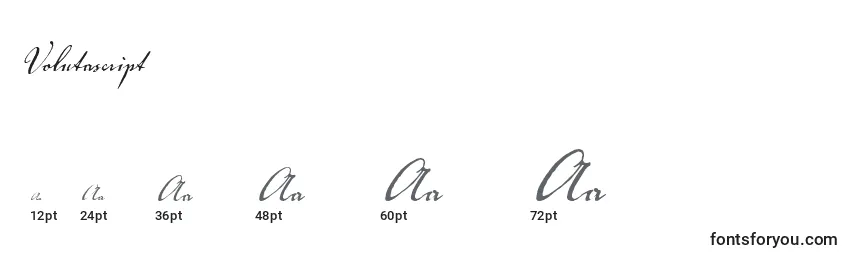 Volutascript Font Sizes