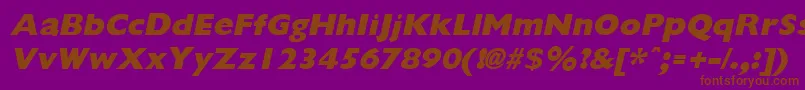 GiliganextraboldItalic Font – Brown Fonts on Purple Background