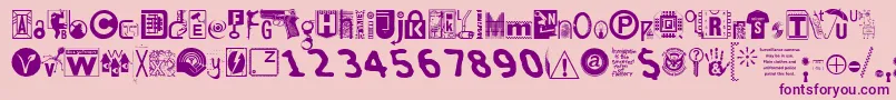 Insecuri Font – Purple Fonts on Pink Background