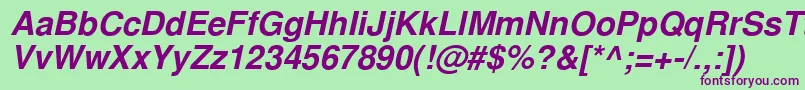 NimbussanlcyBoldItalic Font – Purple Fonts on Green Background