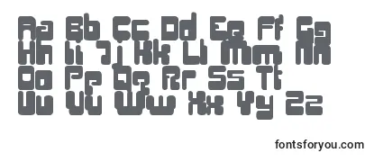 Review of the Digifit Font