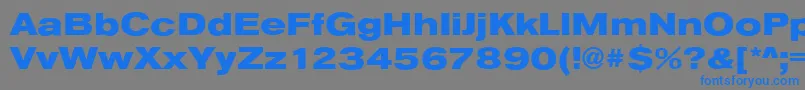 AnconaExHeavyRegular Font – Blue Fonts on Gray Background