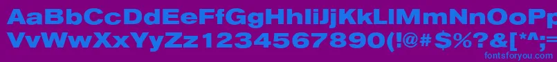 AnconaExHeavyRegular Font – Blue Fonts on Purple Background