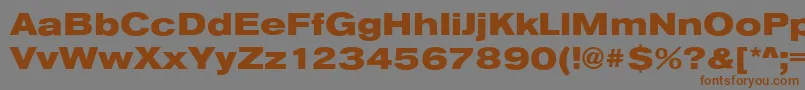 AnconaExHeavyRegular Font – Brown Fonts on Gray Background