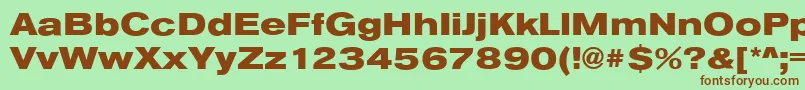 AnconaExHeavyRegular Font – Brown Fonts on Green Background
