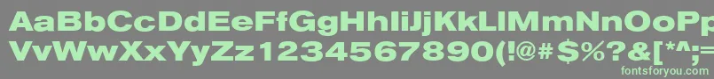 AnconaExHeavyRegular Font – Green Fonts on Gray Background