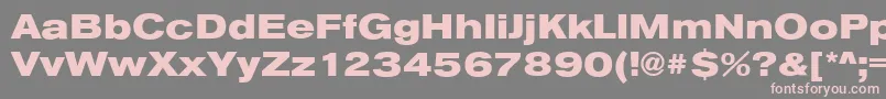 Fonte AnconaExHeavyRegular – fontes rosa em um fundo cinza