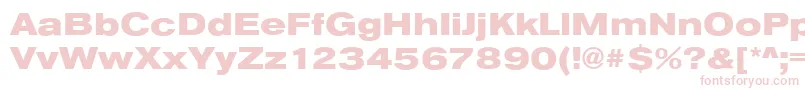 AnconaExHeavyRegular Font – Pink Fonts
