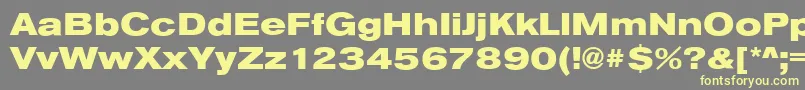 AnconaExHeavyRegular Font – Yellow Fonts on Gray Background