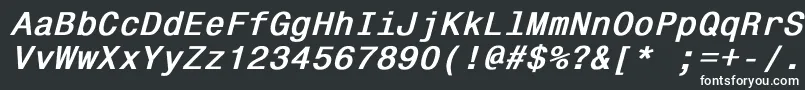 フォントMonospace821BoldItalic – 黒い背景に白い文字