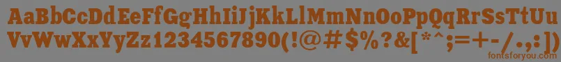 Xeniacondensedc Font – Brown Fonts on Gray Background