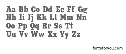 Review of the Xeniacondensedc Font