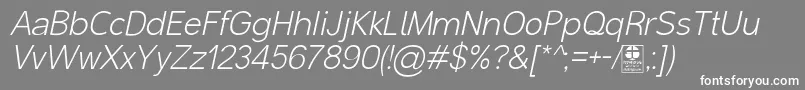 MalterSansLightItalicDemo Font – White Fonts on Gray Background