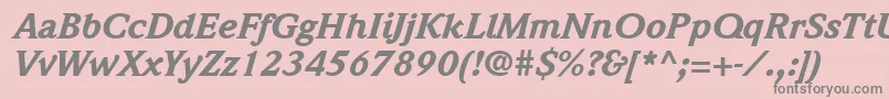 ItcWeidemannLtBlackItalic Font – Gray Fonts on Pink Background