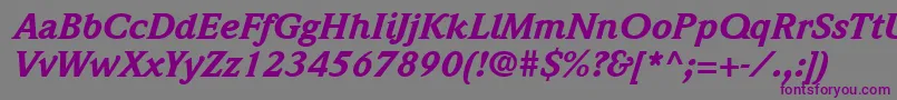 ItcWeidemannLtBlackItalic Font – Purple Fonts on Gray Background