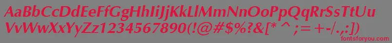 VeraHumana95Bolditalic Font – Red Fonts on Gray Background