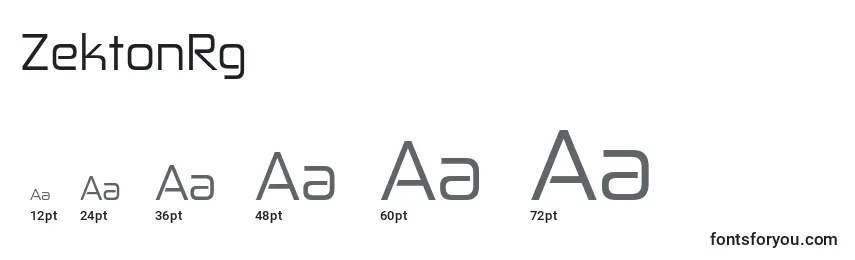 ZektonRg Font Sizes
