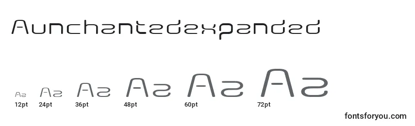 Размеры шрифта Aunchantedexpanded