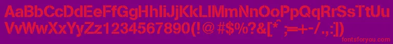AbsolutdbNormal Font – Red Fonts on Purple Background