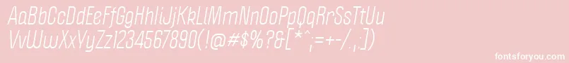 PoliticaItalic Font – White Fonts on Pink Background