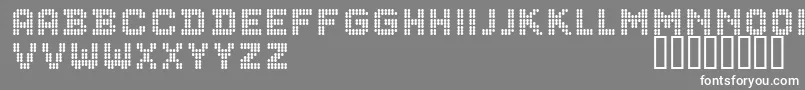 CfdotsRegular Font – White Fonts on Gray Background