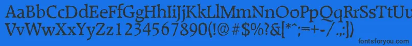 RaleighantiqueRegular Font – Black Fonts on Blue Background