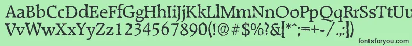 RaleighantiqueRegular Font – Black Fonts on Green Background