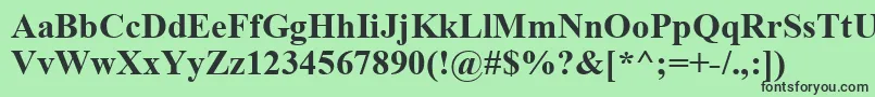 TimesNewRomanKoi8Bold-fontti – mustat fontit vihreällä taustalla
