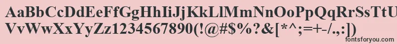フォントTimesNewRomanKoi8Bold – ピンクの背景に黒い文字