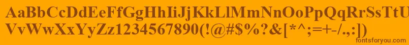 TimesNewRomanKoi8Bold Font – Brown Fonts on Orange Background